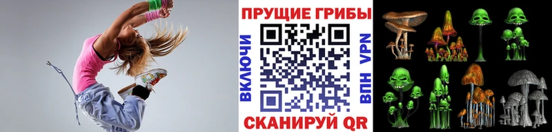 Галлюциногенные грибы MAGIC MUSHROOMS  кракен как войти  Старая Купавна 