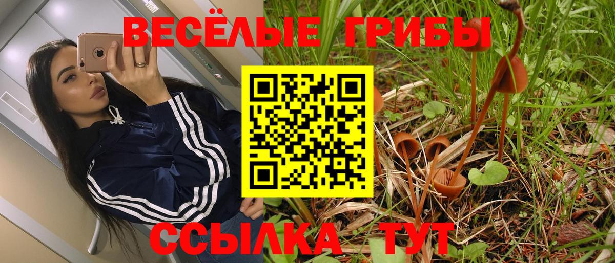 Галлюциногенные грибы Psilocybe Старая Купавна
