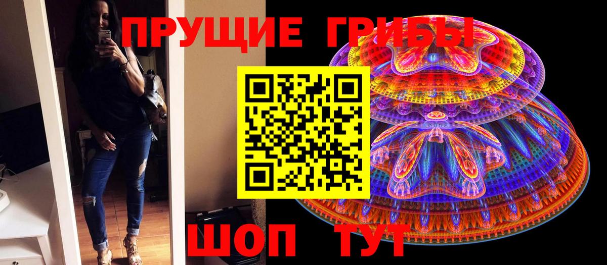 где купить наркотик  Вход с VPN  Старая Купавна  Псилоцибиновые грибы прущие грибы  Псилоцибиновые грибы GOLDEN TEACHER 